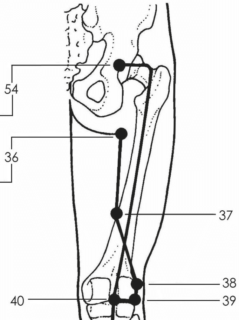 Acupuncture Point Selection