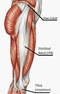 Iliotibial Band, Anatomy, Functionality, Runners Knee, Causes